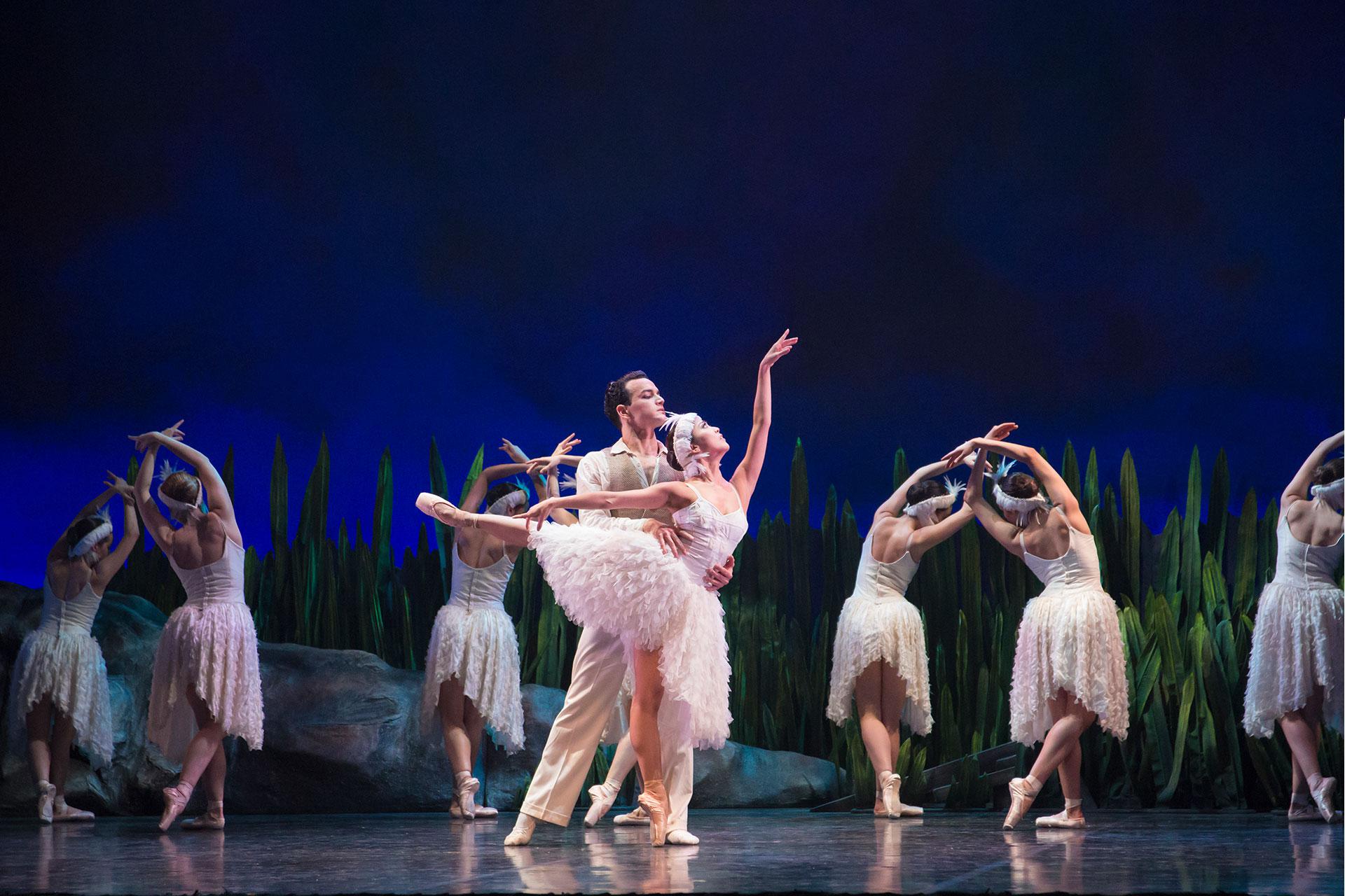 Anthony falls in love with the swan, Odette